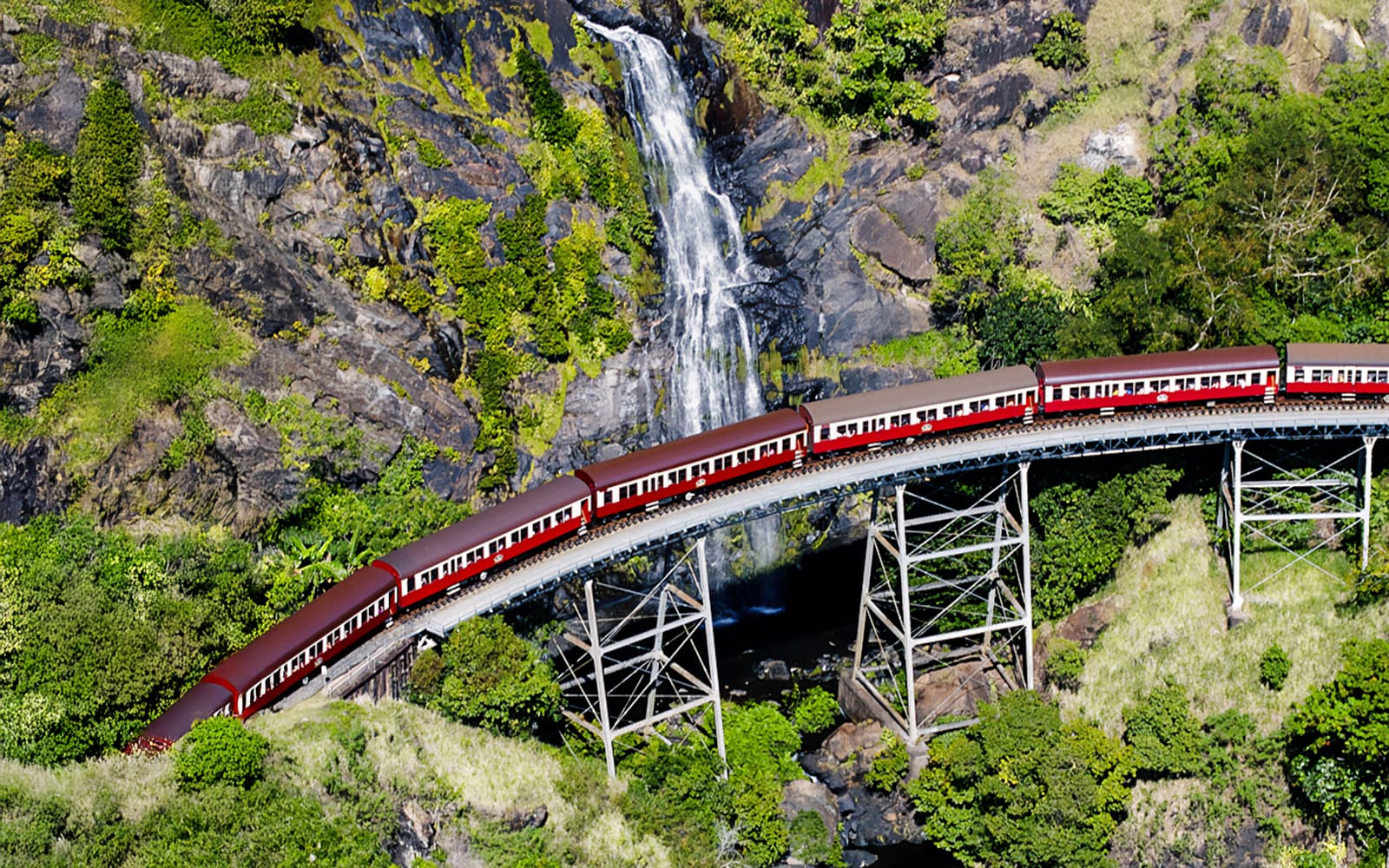 From Cairns: Scenic Train & Skyrail Kuranda Tour with Transfers