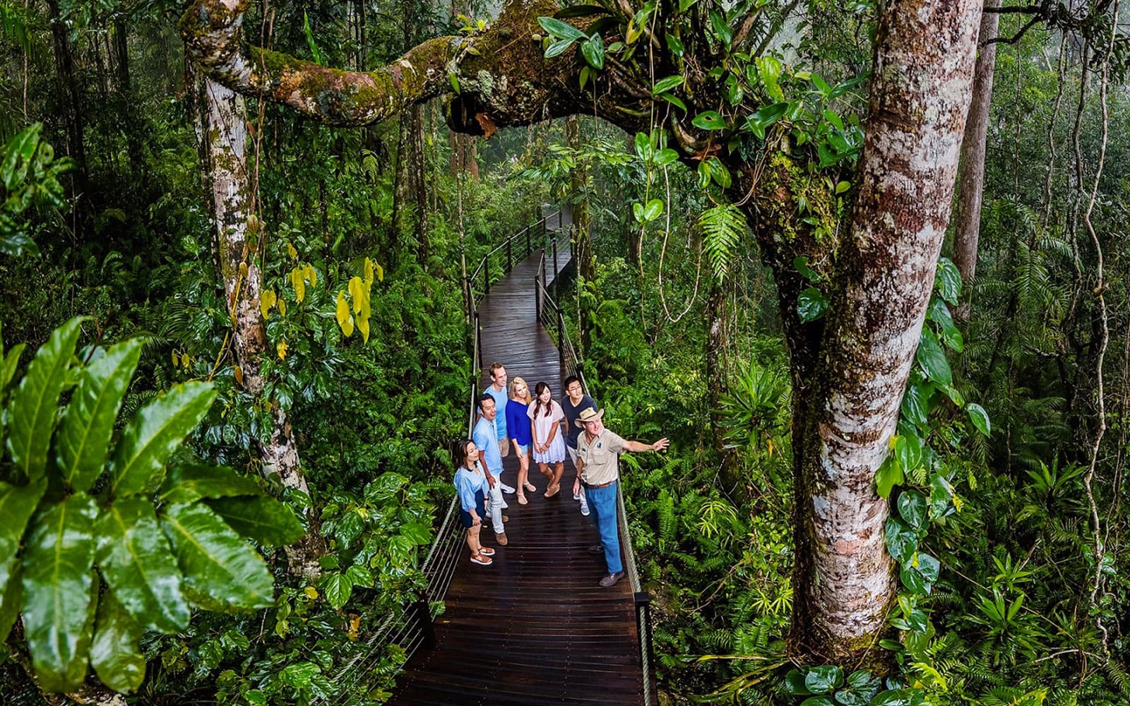 From Cairns: Scenic Train & Skyrail Kuranda Tour with Transfers tickets in Cairns - Features | TickYourList