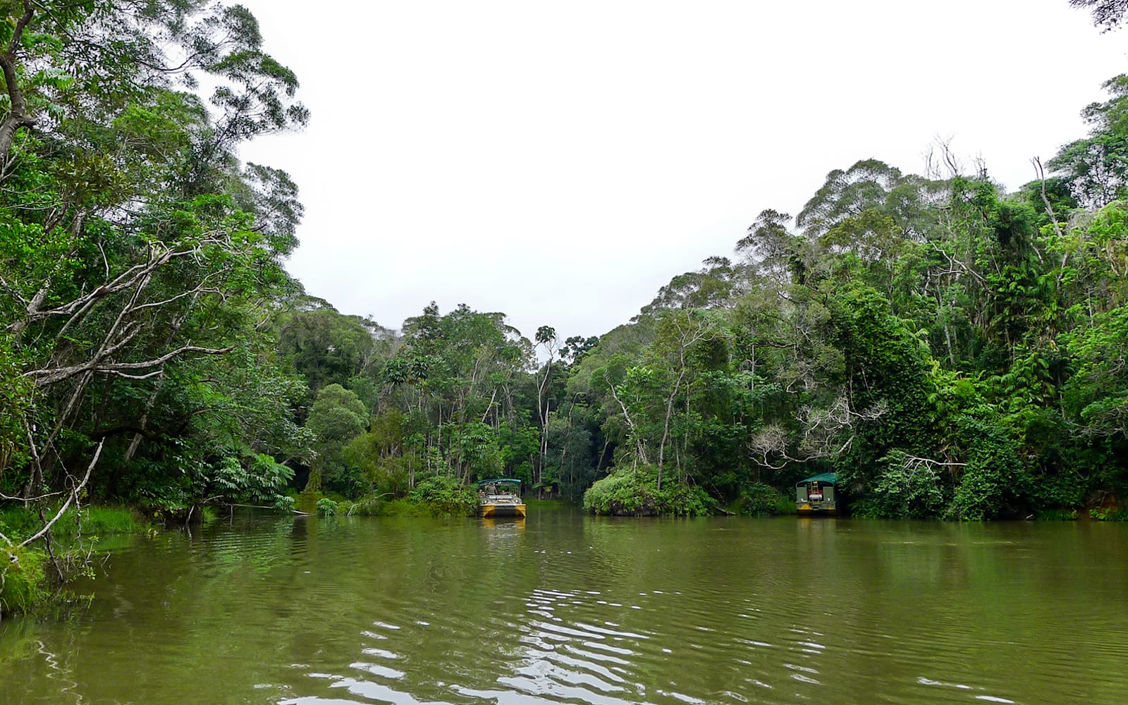 Full-Day Tour of Rainforestation Nature Park from Cairns tickets in Cairns - Attractions | TickYourList