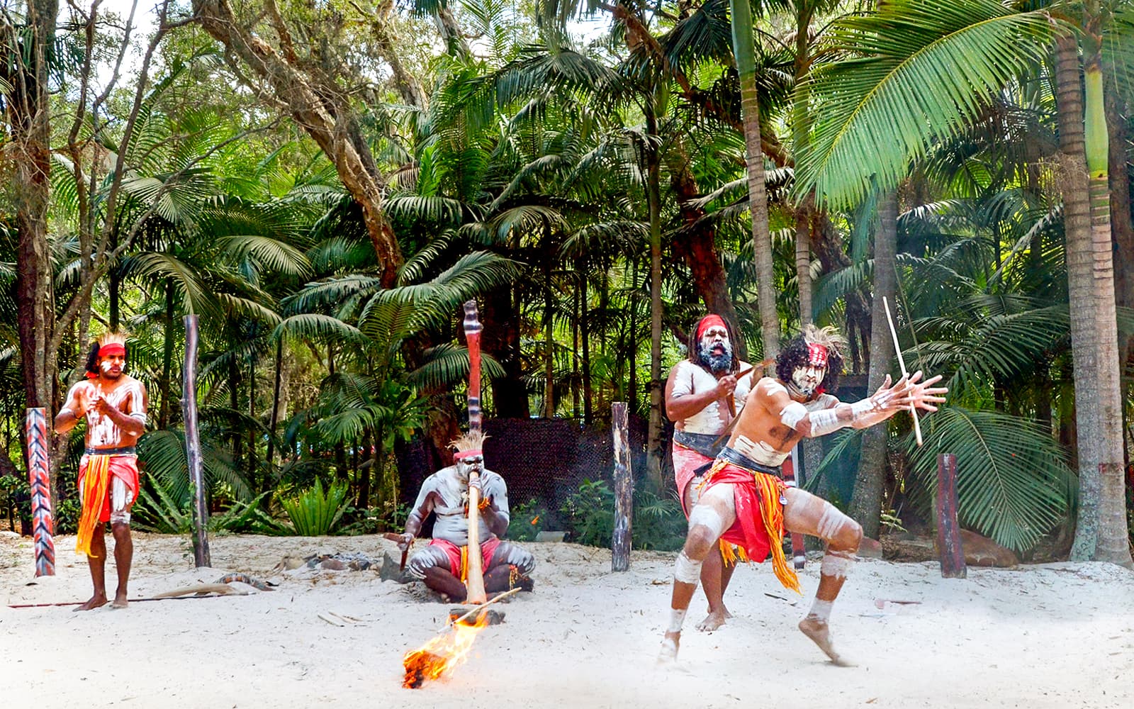 Full-Day Tour of Rainforestation Nature Park from Cairns tickets in Cairns - Highlights | TickYourList