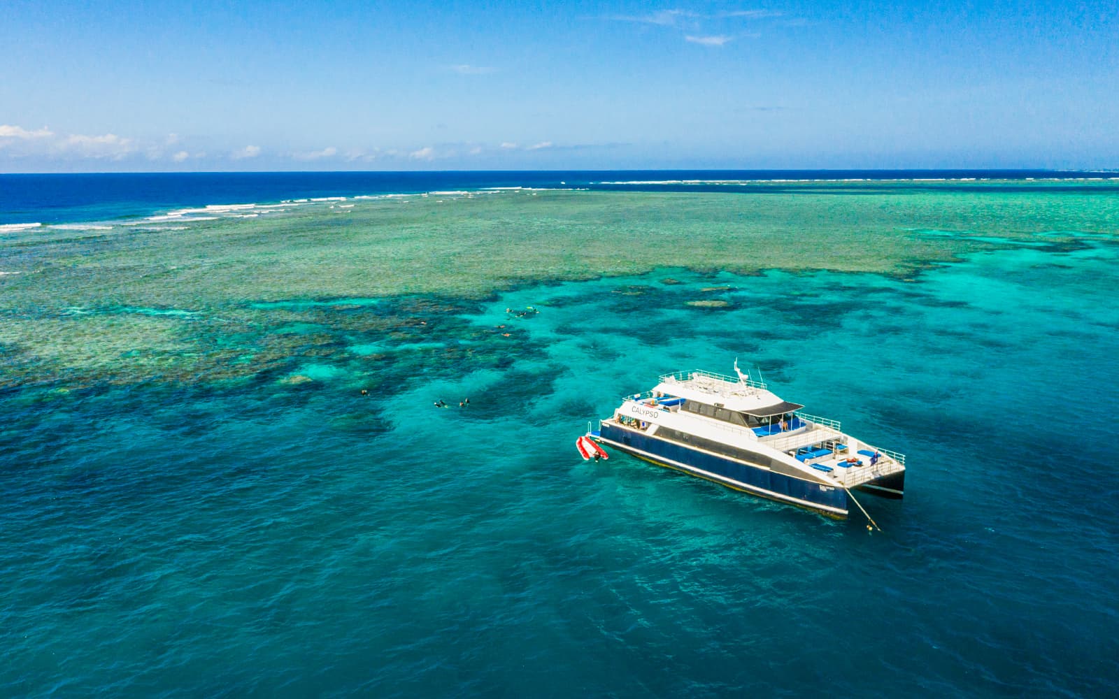 Port Douglas to Great Barrier Reef Cruise with Guided Snorkel and Lunch