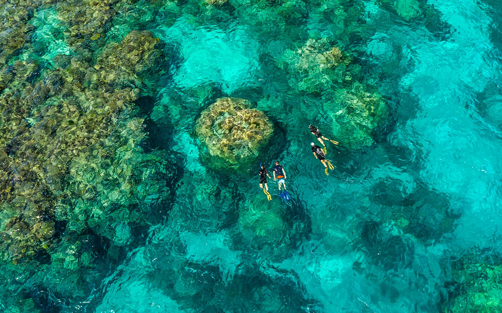 Port Douglas to Great Barrier Reef Cruise with Guided Snorkel and Lunch tickets in Cairns - Attractions | TickYourList