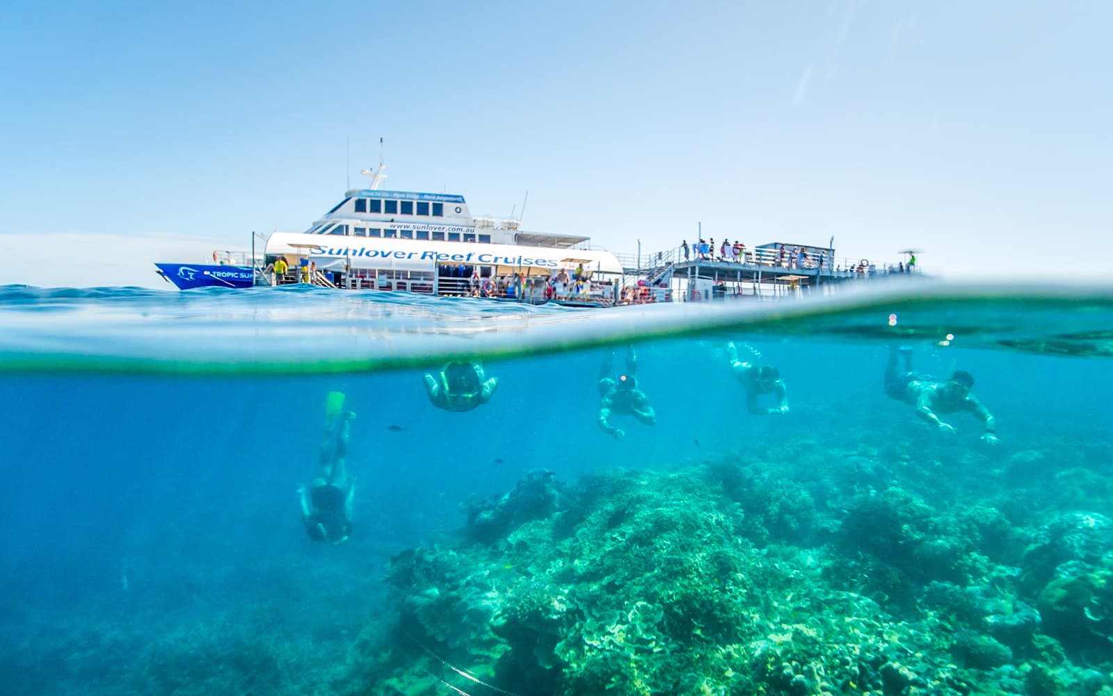 Cairns to Great Barrier Reef Snorkel Cruise with Pontoon Activities and Lunch by Sunlover