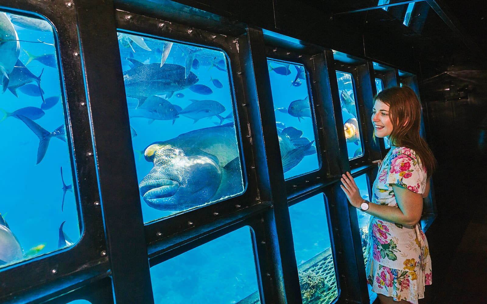 Cairns to Great Barrier Reef Snorkel Cruise with Pontoon Activities and Lunch by Sunlover tickets in Cairns - Activities | TickYourList