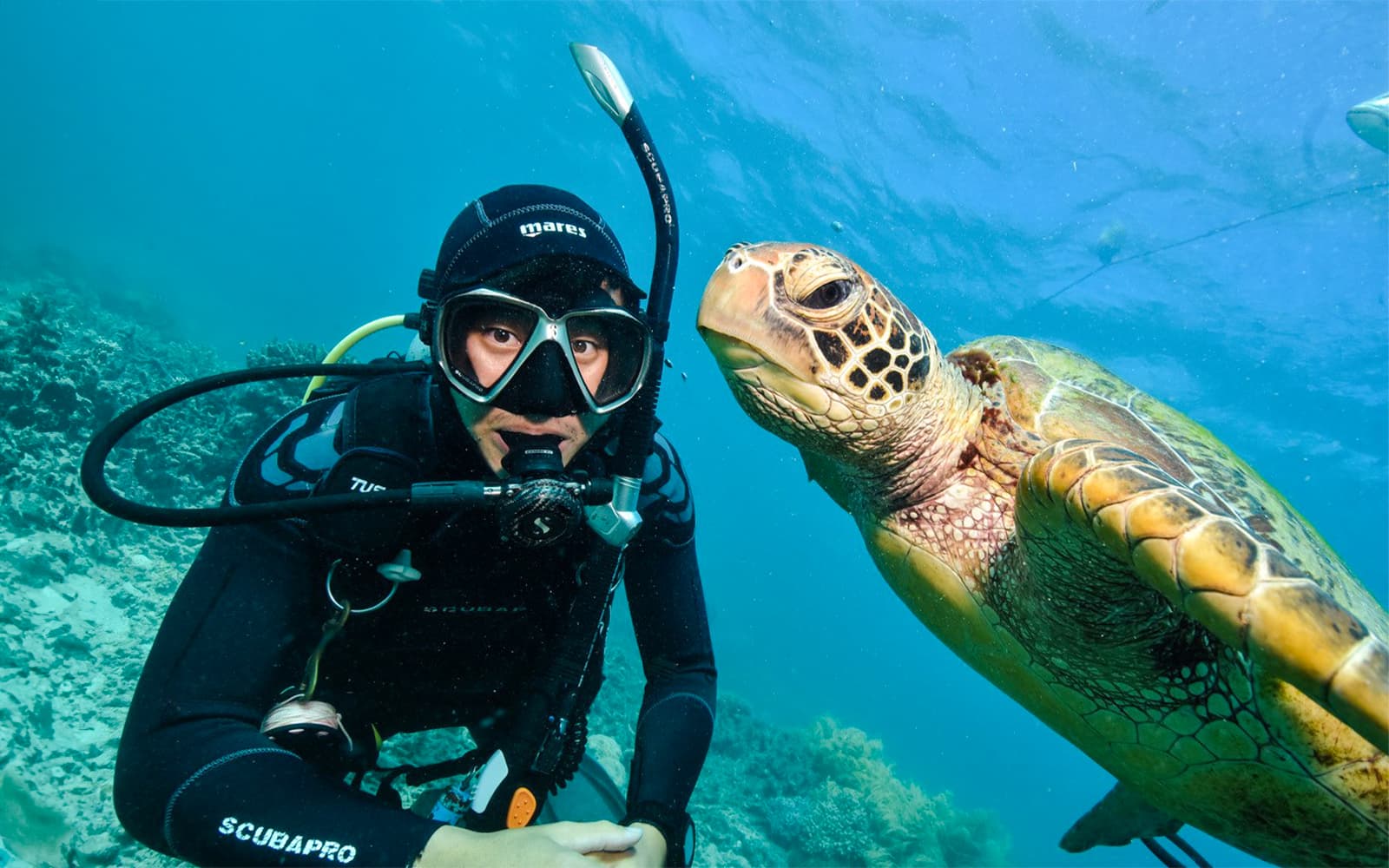 Cairns to Great Barrier Reef Snorkel Cruise with Pontoon Activities and Lunch by Sunlover tickets in Cairns - Highlights | TickYourList