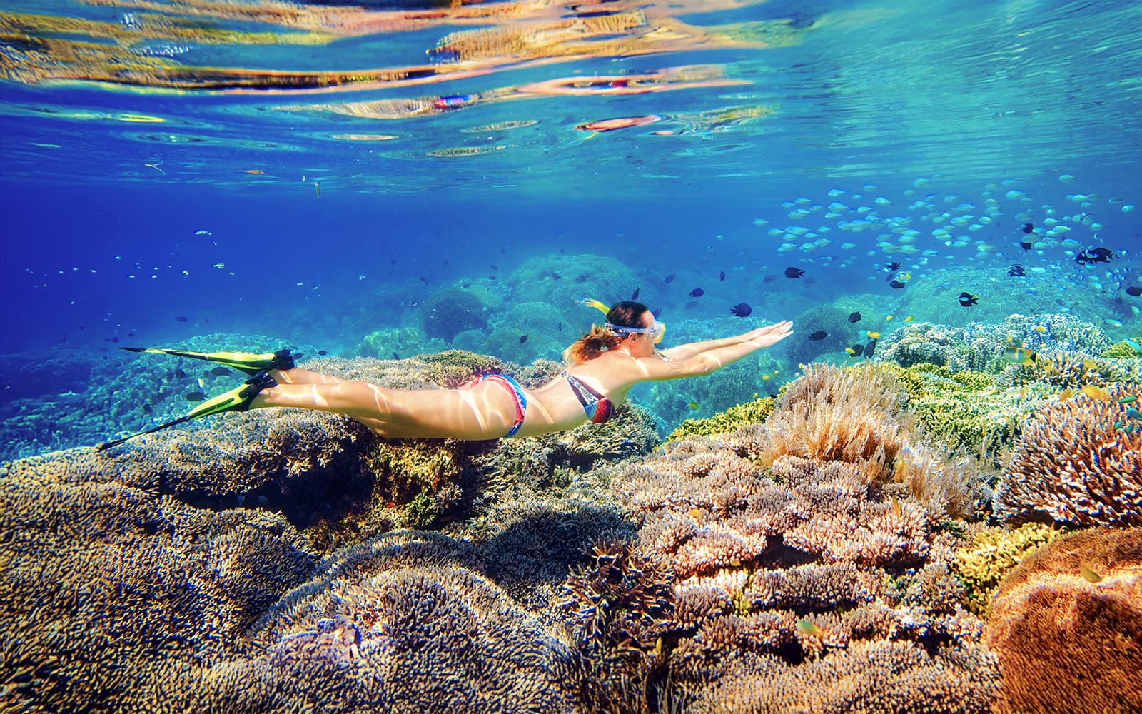 Sunlover: Cairns to Fitzroy Island Full-Day Cruise with Snorkel, Glass Bottom Boat Tour & Lunch tickets in Cairns - Attractions | TickYourList