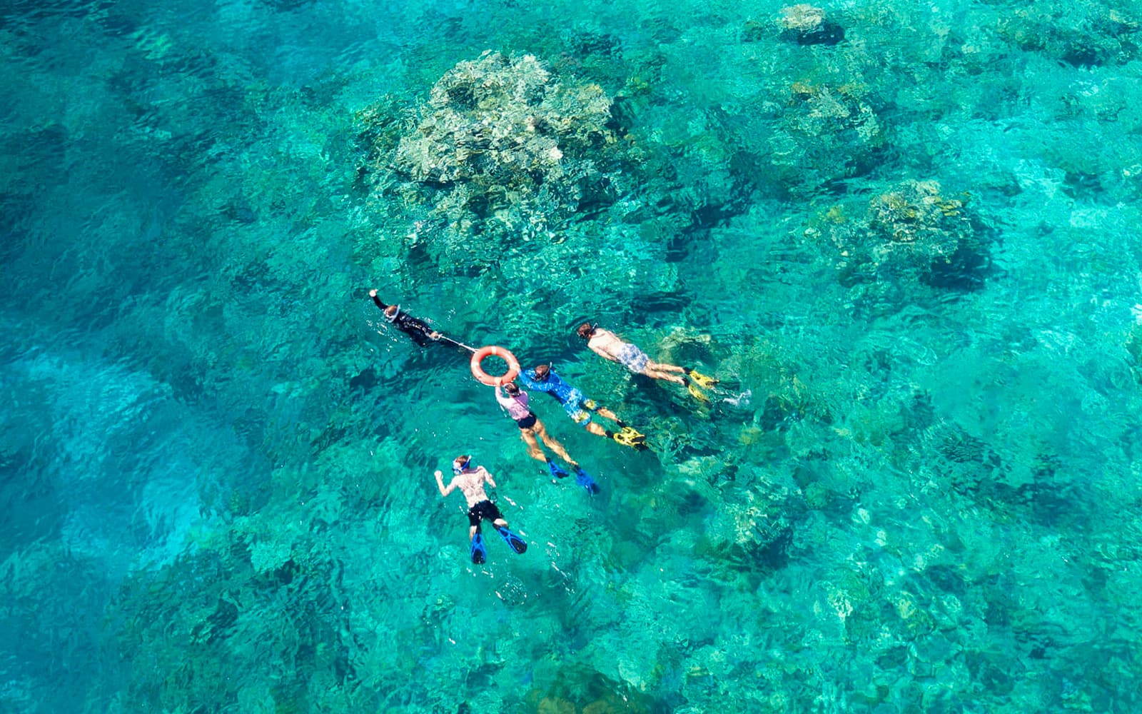 Cairns to Great Barrier Reef Full Day Cruise with Guided Snorkelling Tours tickets in Cairns - Highlights | TickYourList