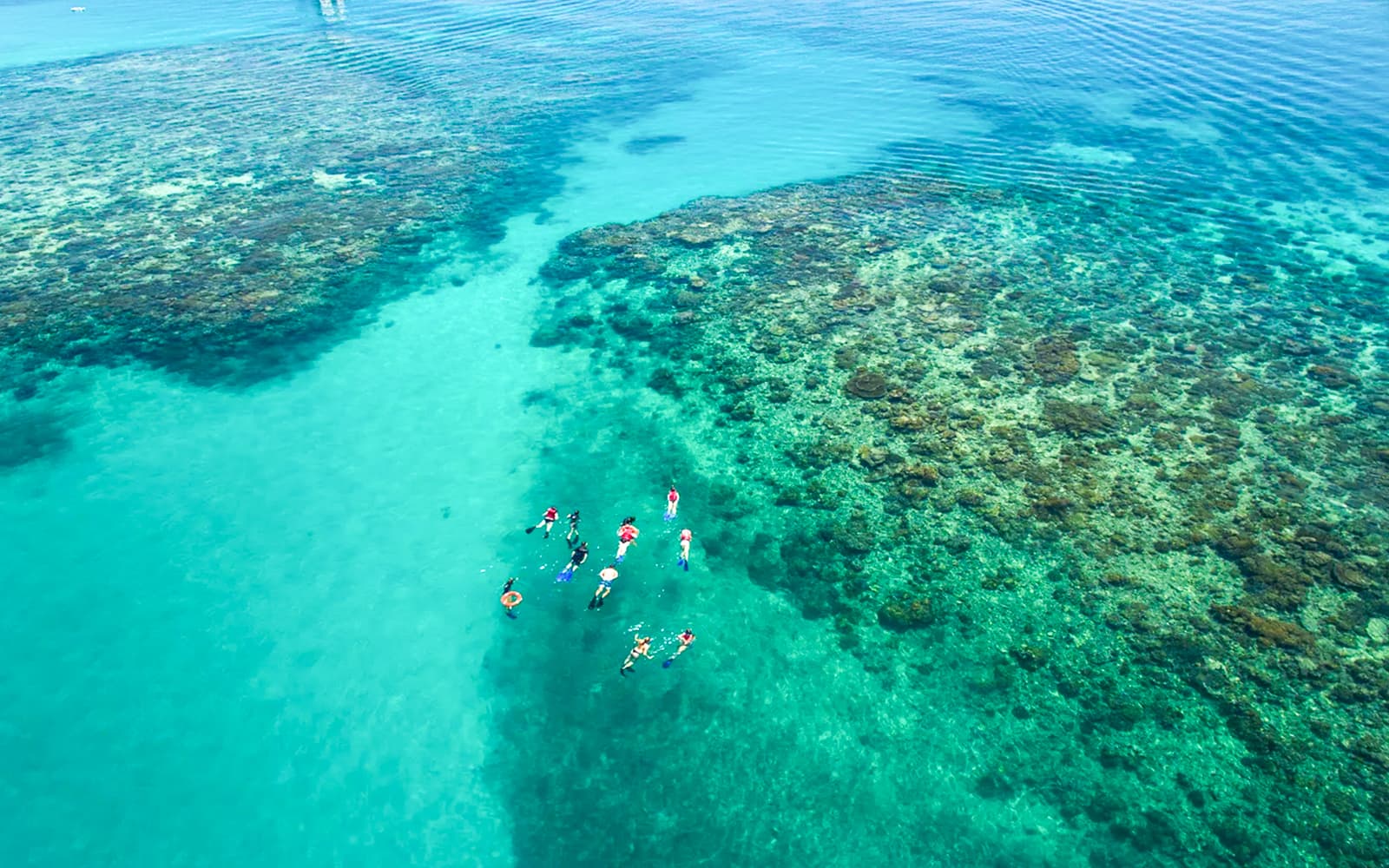 Cairns to Green Island and Outer Reef Sailing Cruise with Guided Snorkel and Lunch tickets in Cairns - Highlights | TickYourList