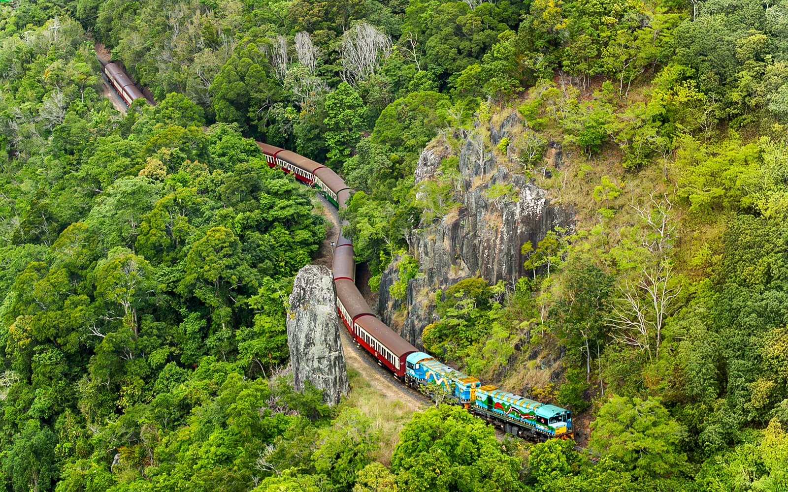 From Cairns: Scenic Train, Skyrail, & Hartley's Crocodile Adventures