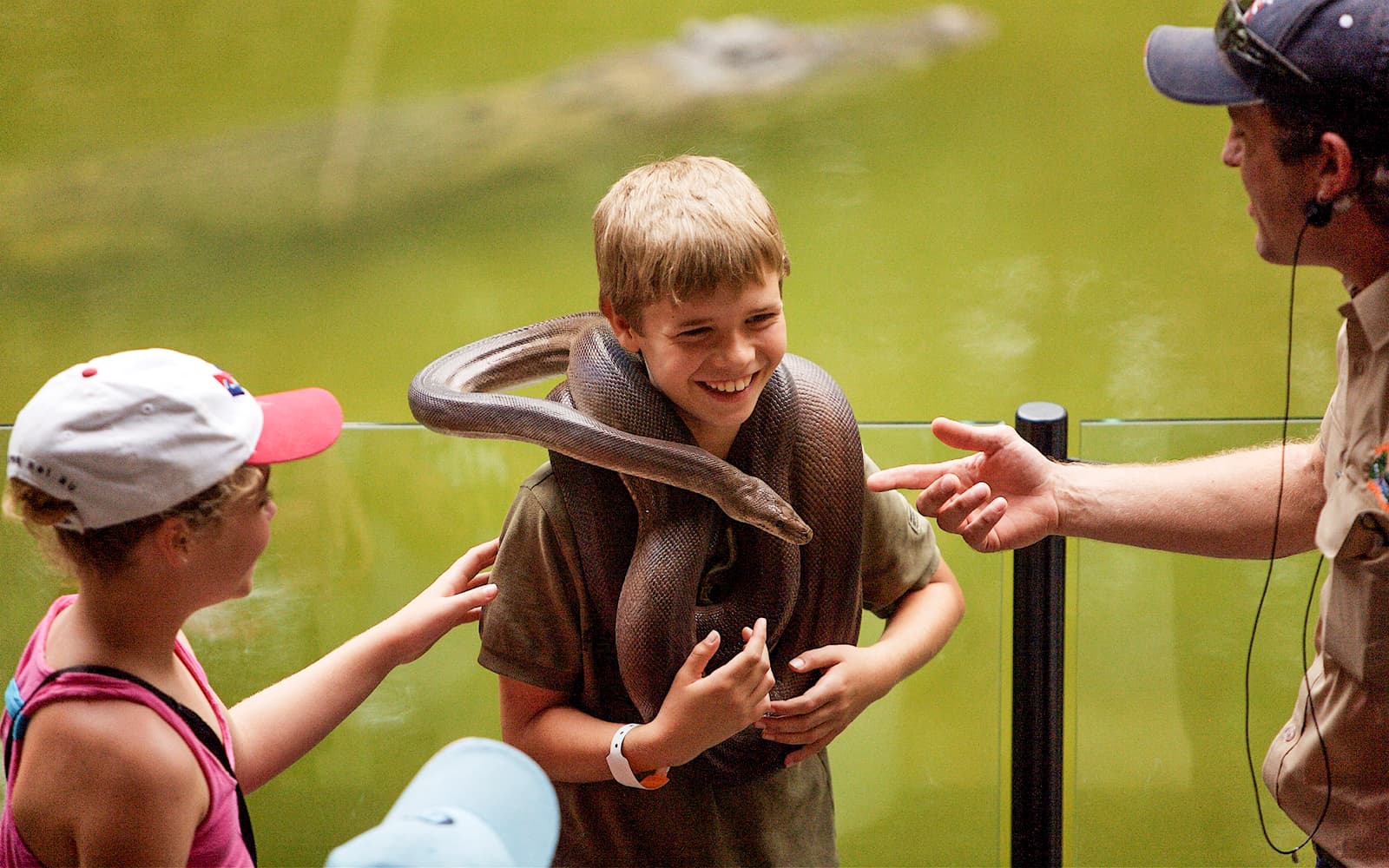 From Cairns: Scenic Train, Skyrail, & Hartley's Crocodile Adventures tickets in Cairns - Highlights | TickYourList
