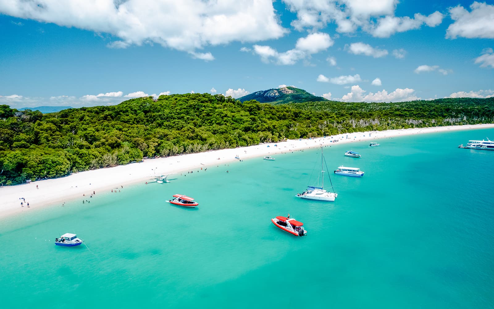 Airlie Beach: Whitehaven Beach Premium Cruise with Lunch & Activity Upgrades tickets in Whitsundays - Attractions | TickYourList