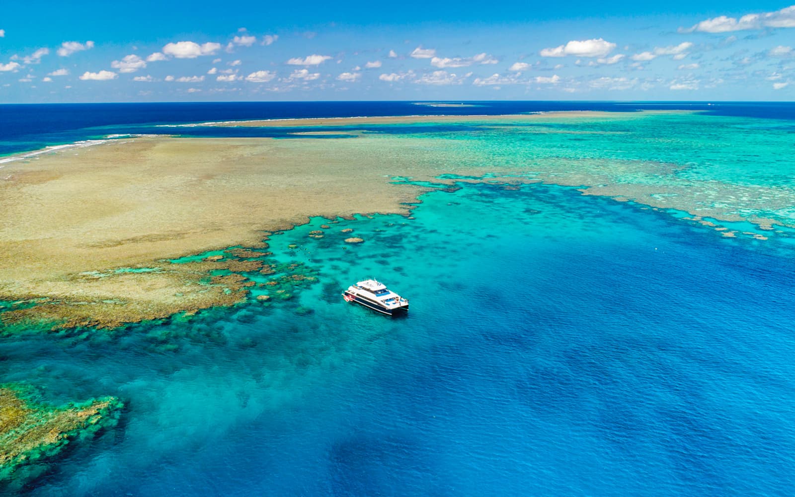 Port Douglas to Low Isles Island Cruise with Guided Snorkel
