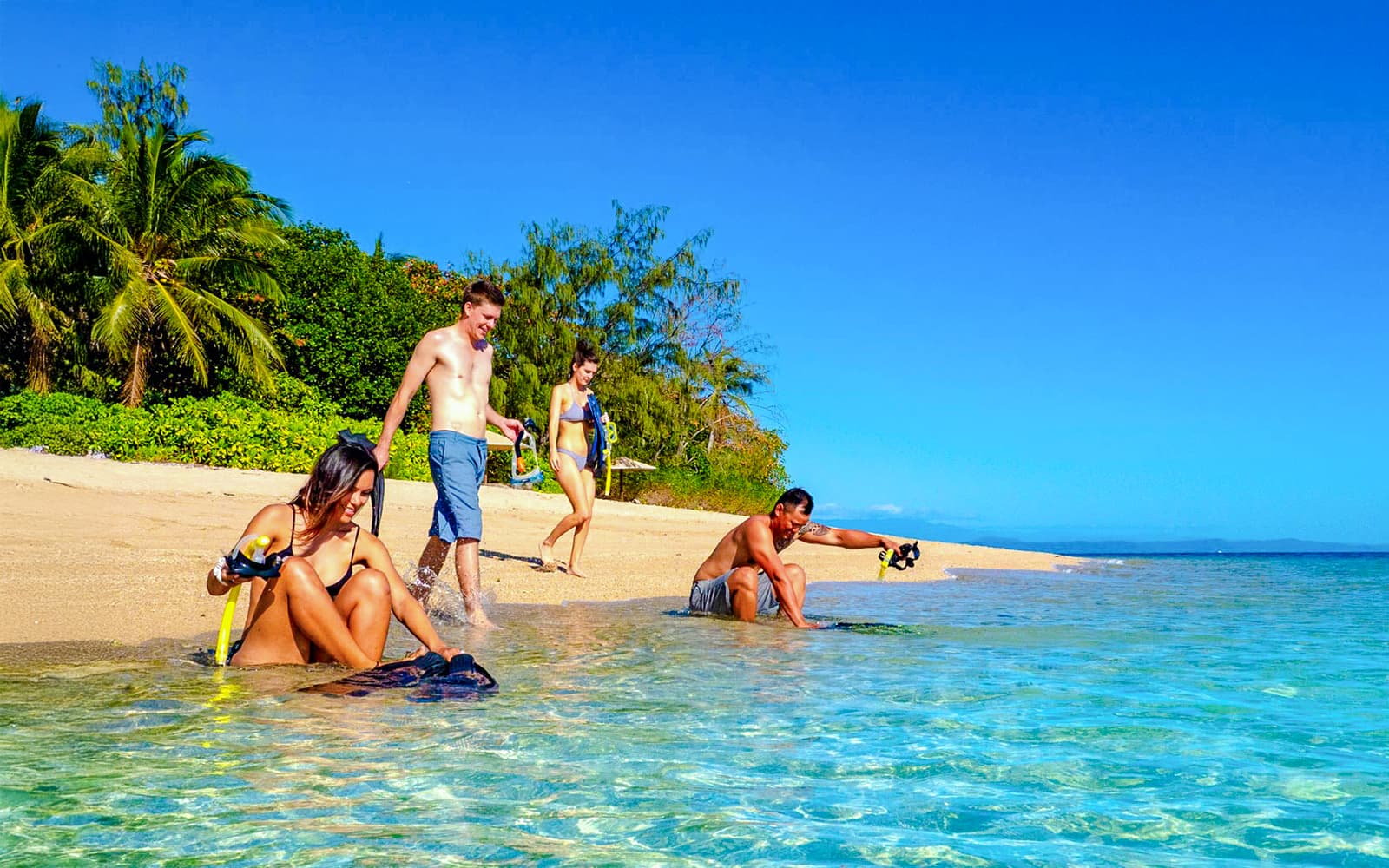 Port Douglas to Low Isles Island Cruise with Guided Snorkel tickets in Cairns - Attractions | TickYourList