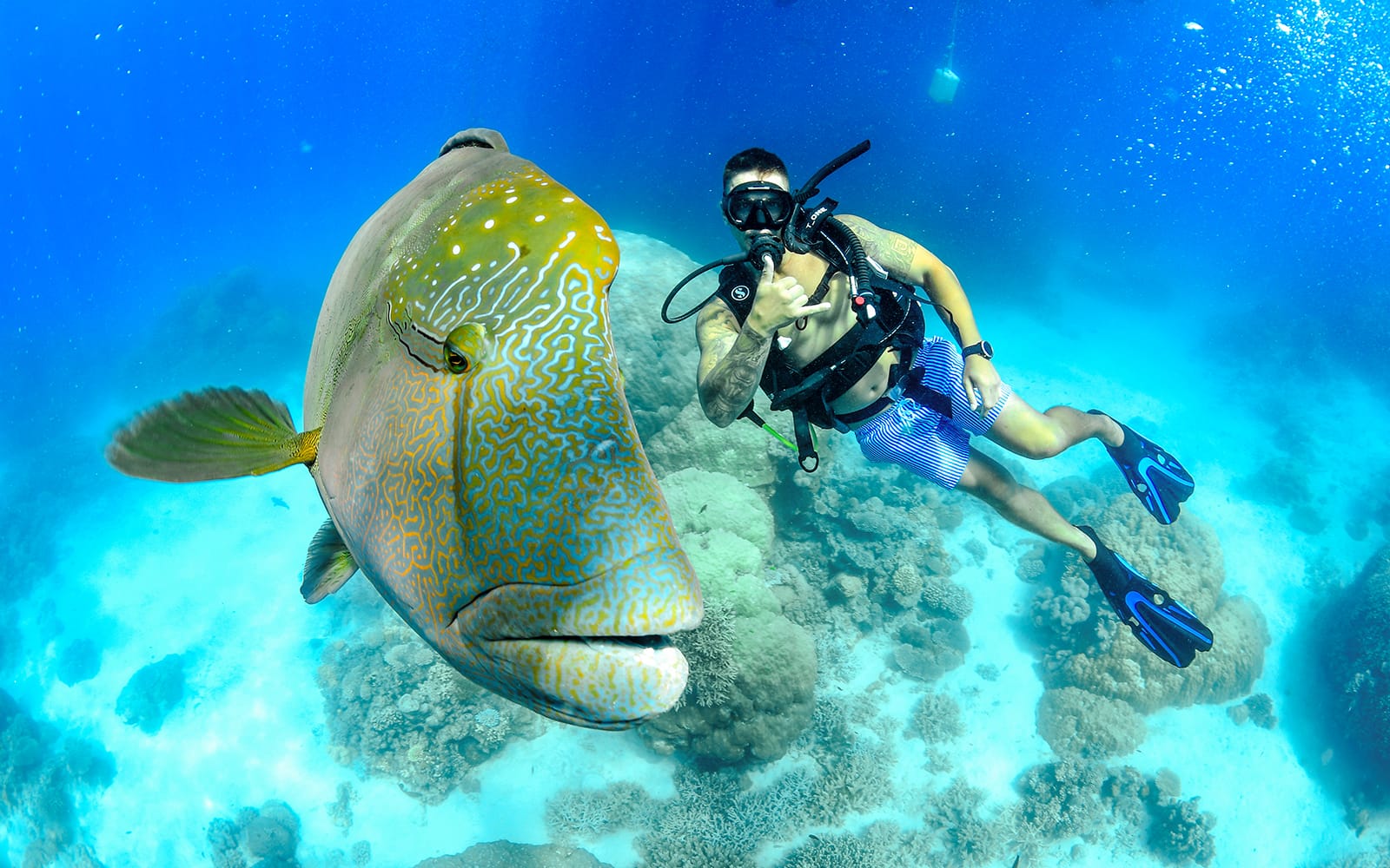 Cairns to Great Barrier Reef Snorkel Cruise with Scuba Diving tickets in Cairns - Activities | TickYourList