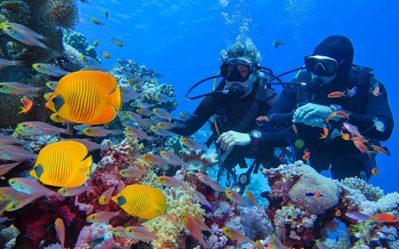 Cairns to Great Barrier Reef Snorkel Cruise with Scuba Diving tickets in Cairns - Features | TickYourList
