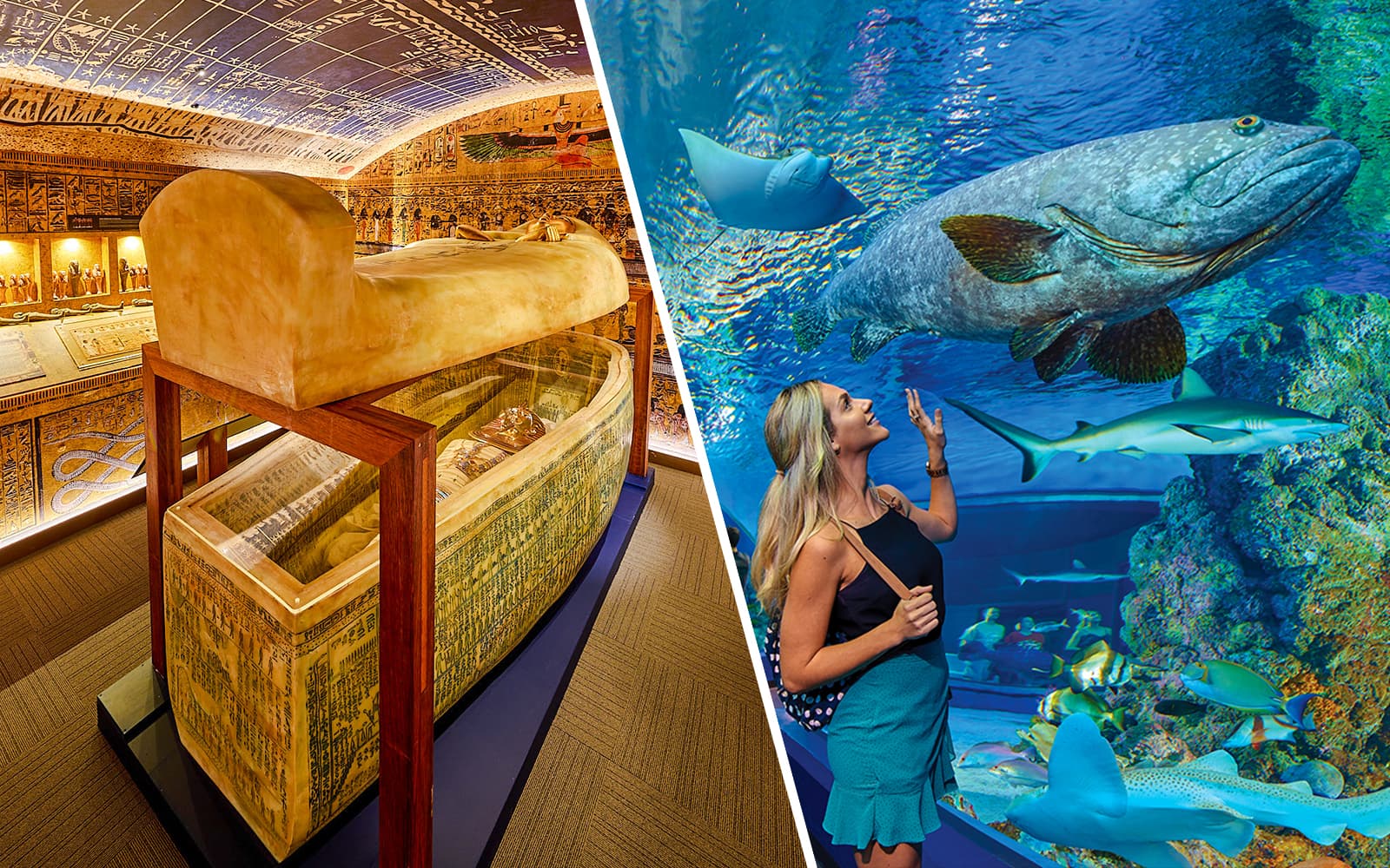 Combo: Tomb of the Pharaohs + Cairns Aquarium Tickets