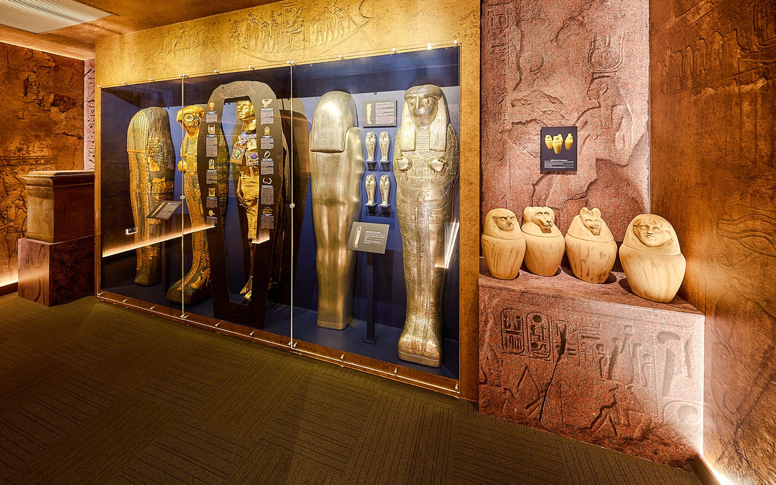 Combo: Tomb of the Pharaohs + Cairns Aquarium Tickets in Cairns - Activities | TickYourList