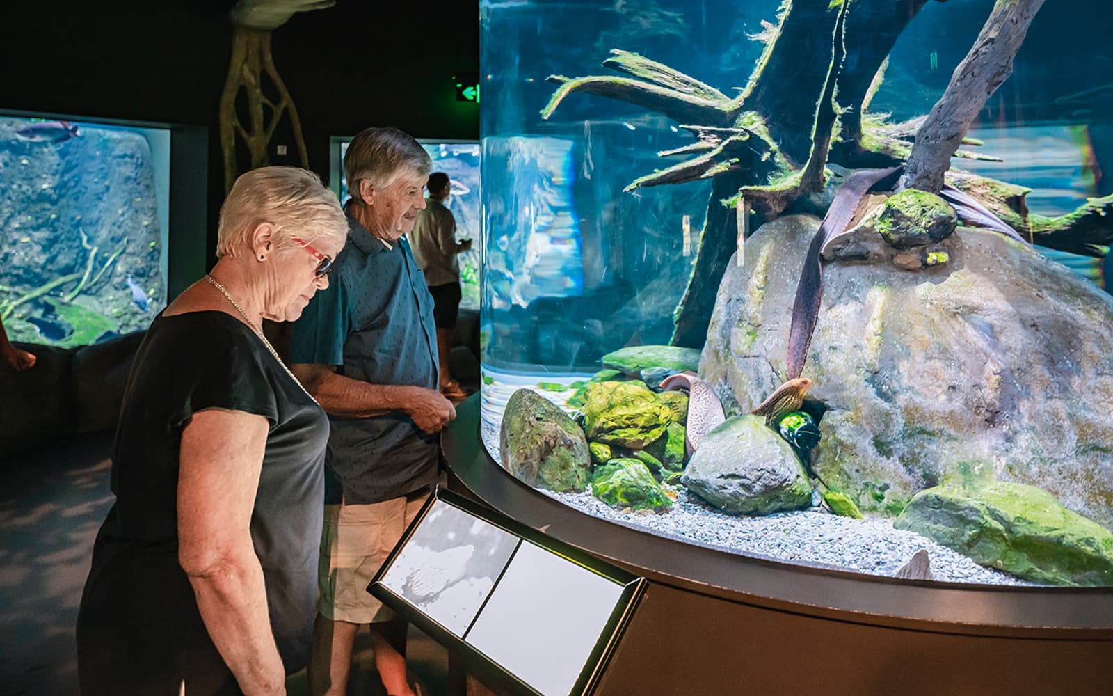 Combo: Tomb of the Pharaohs + Cairns Aquarium Tickets in Cairns - Highlights | TickYourList