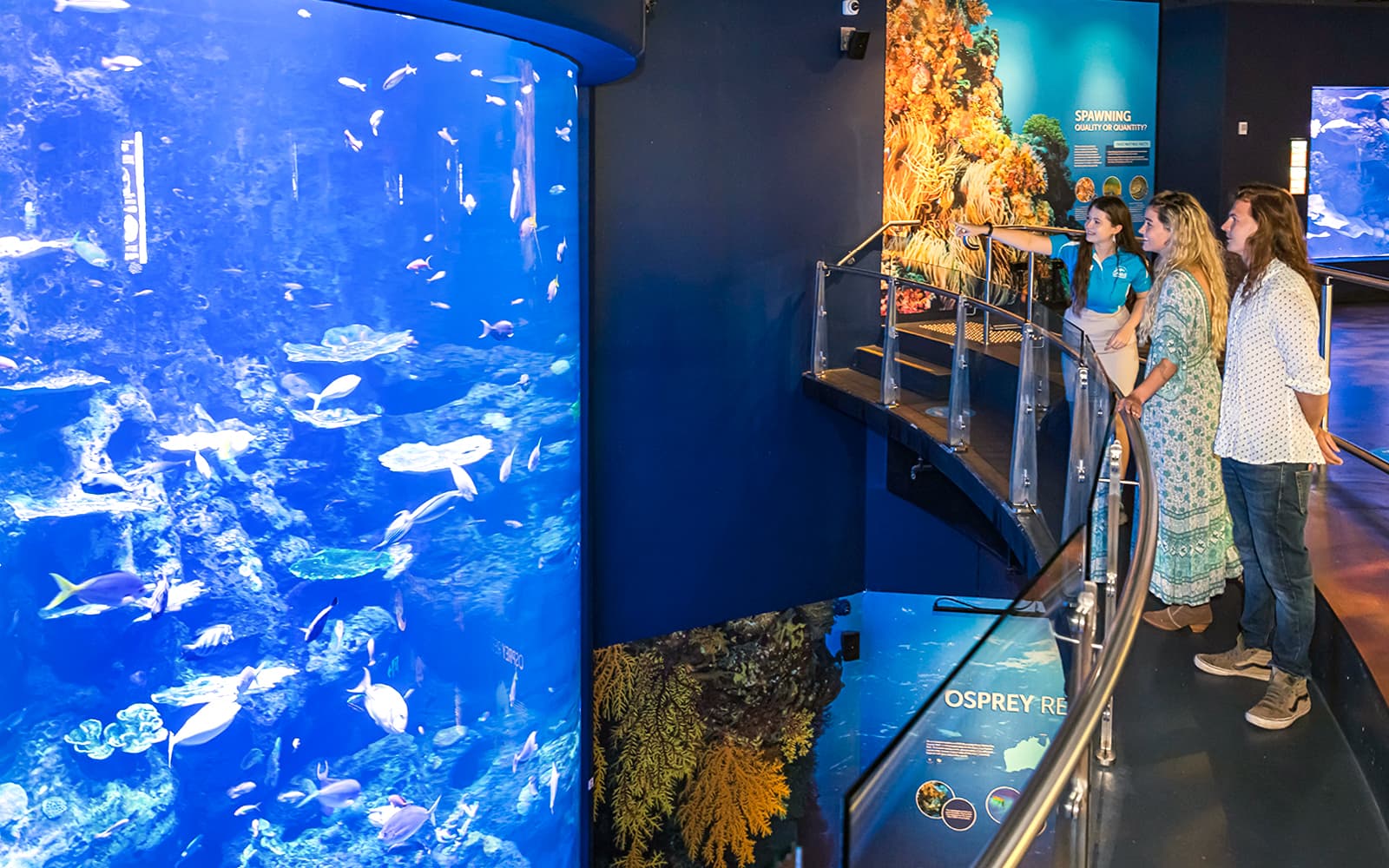 Combo: Tomb of the Pharaohs + Cairns Aquarium Tickets in Cairns - Features | TickYourList