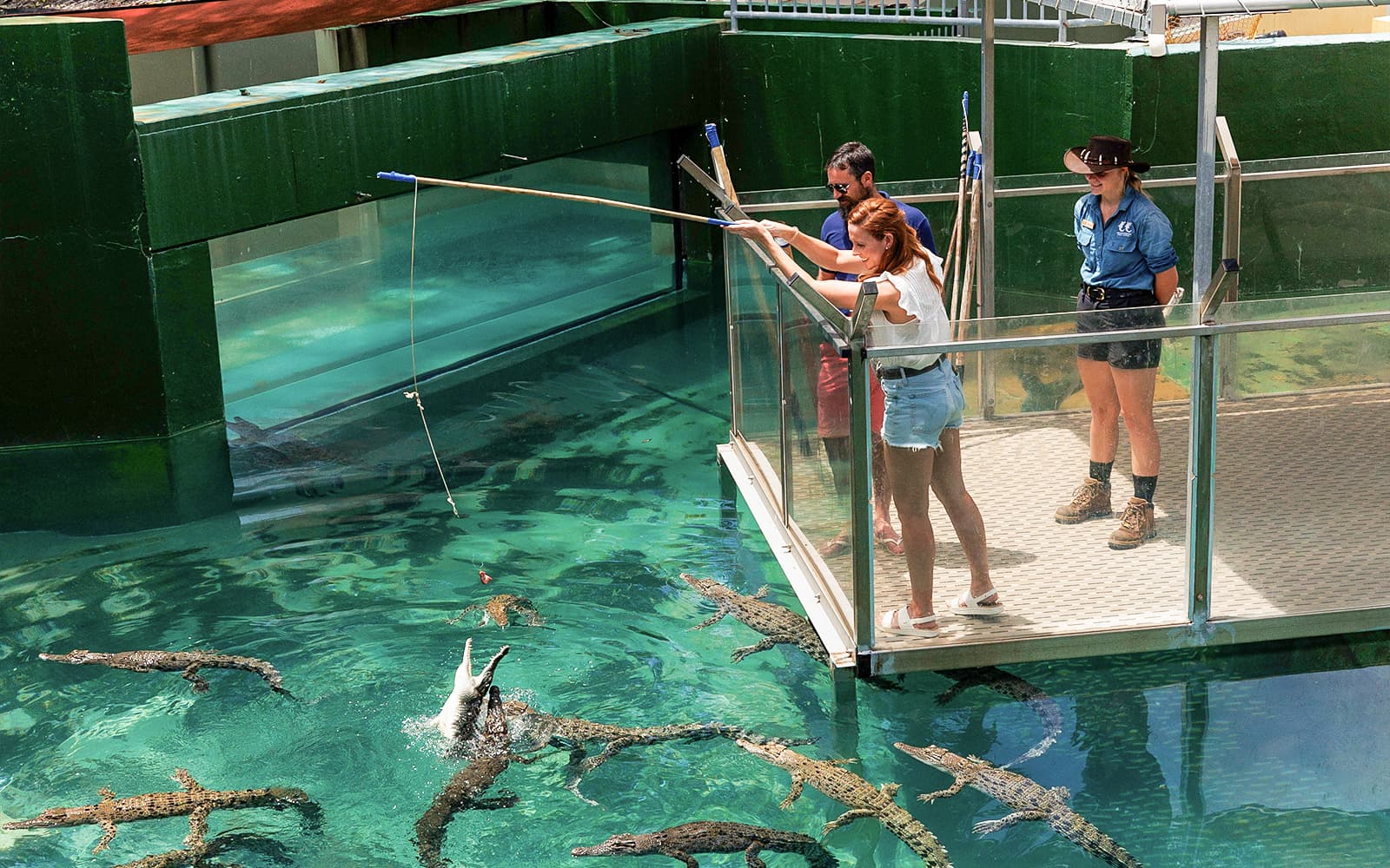 Crocosaurus Cove Tickets with VIP Tour