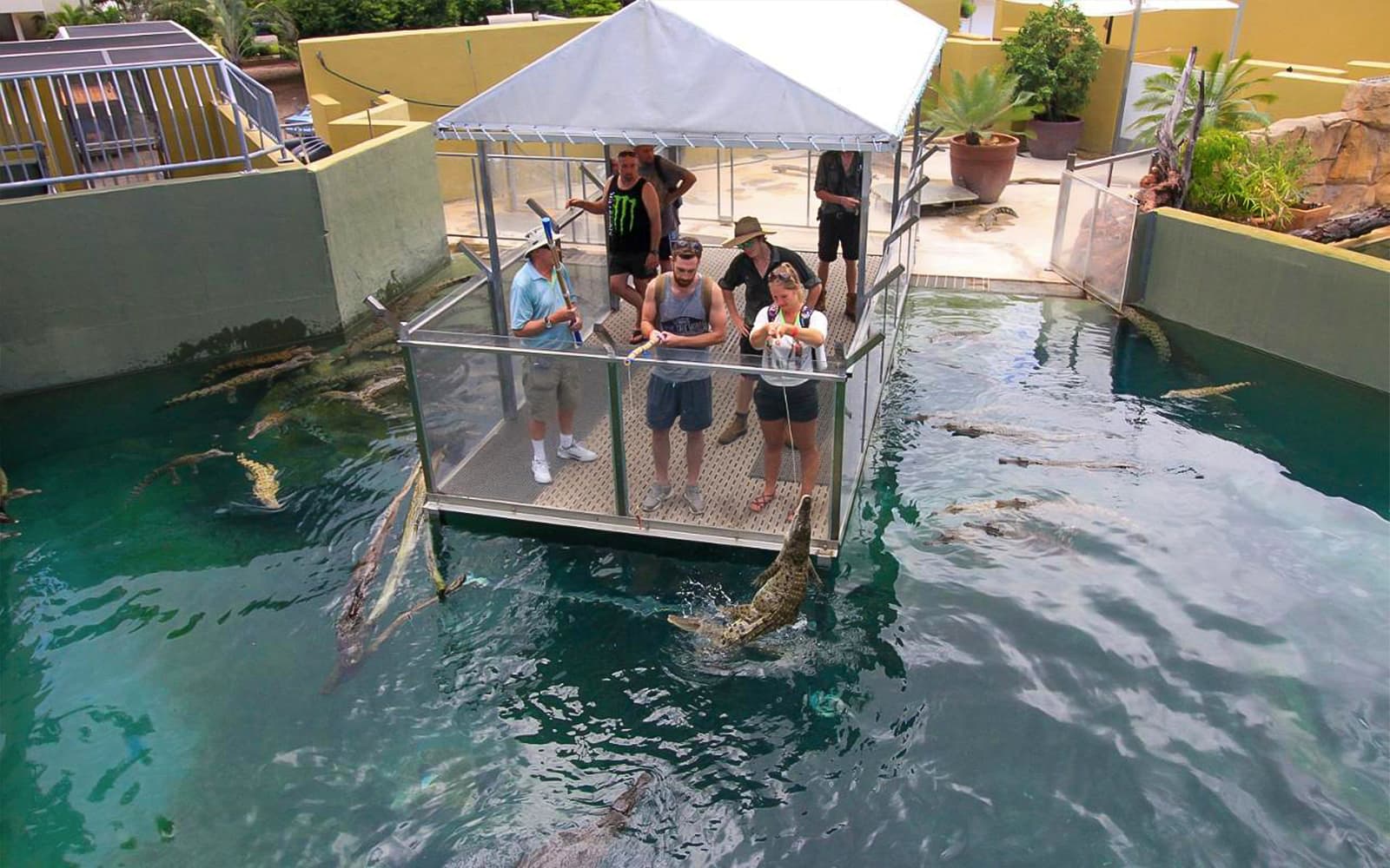 Crocosaurus Cove Tickets with VIP Tour in Darwin - Attractions | TickYourList
