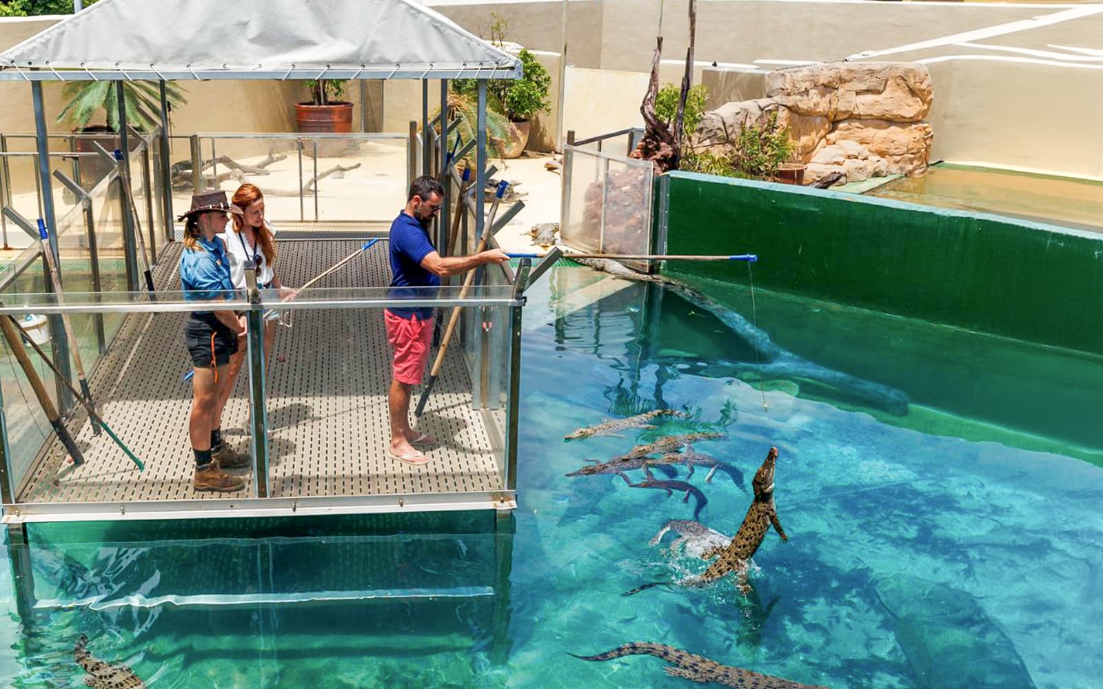 Crocosaurus Cove Tickets with VIP Tour in Darwin - Activities | TickYourList