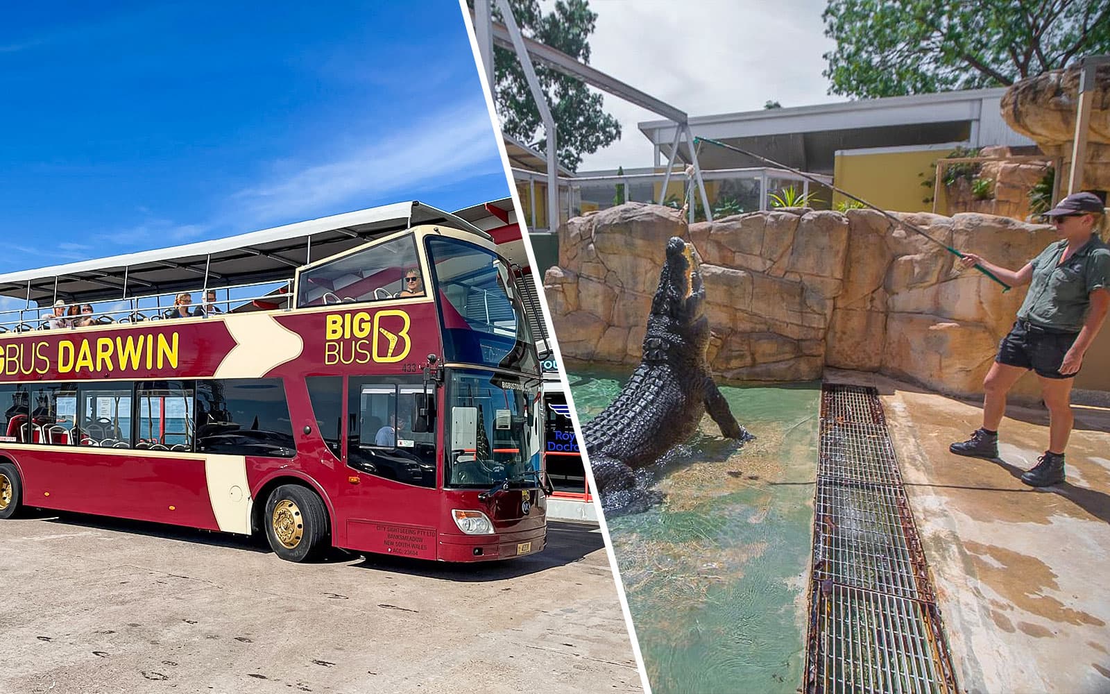 Combo: Darwin Hop-On Hop-Off Bus Tour + Crocosaurus Cove Tickets
