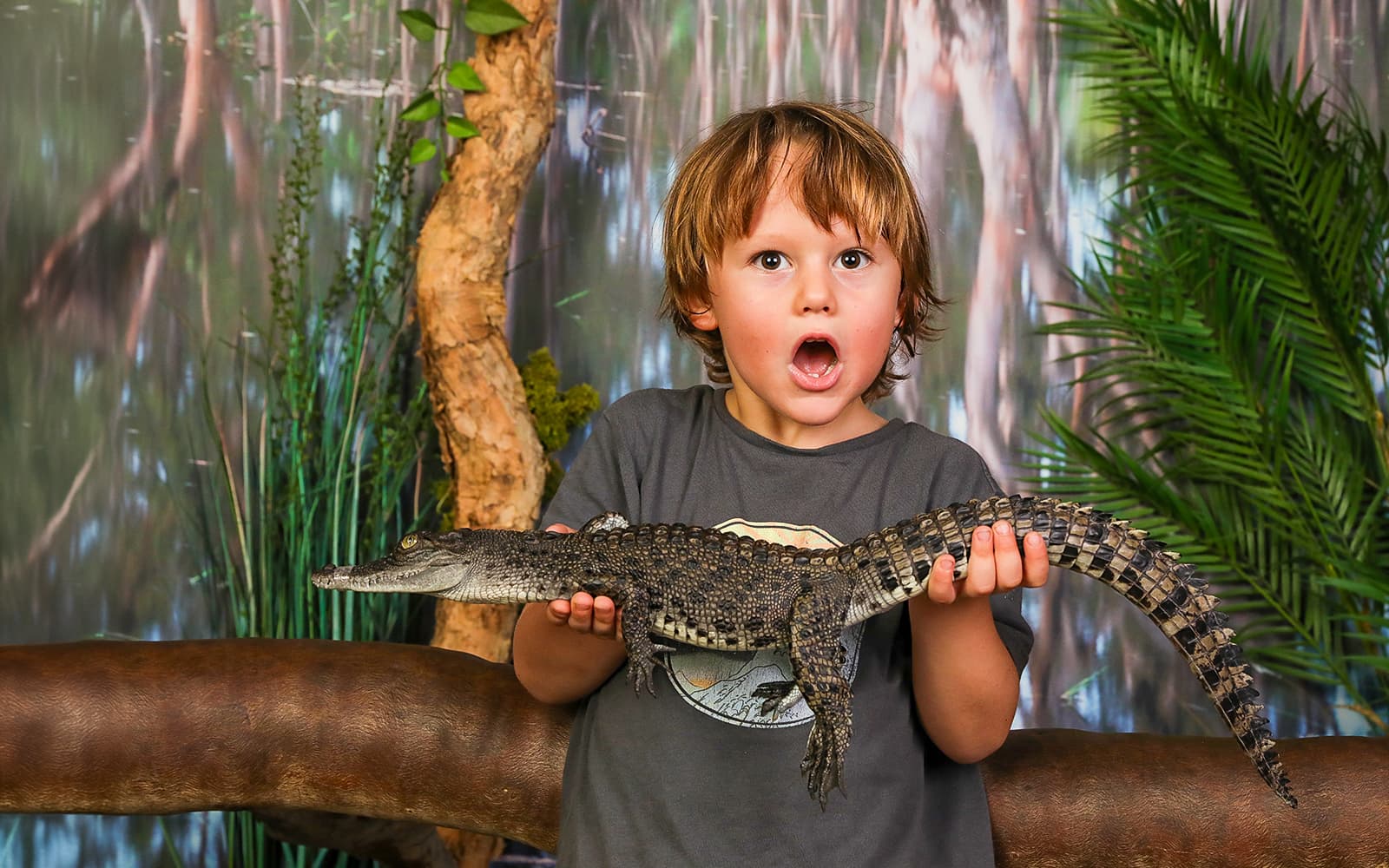 Crocosaurus Cove Tickets with Cage of Death Experience in Darwin - Activities | TickYourList