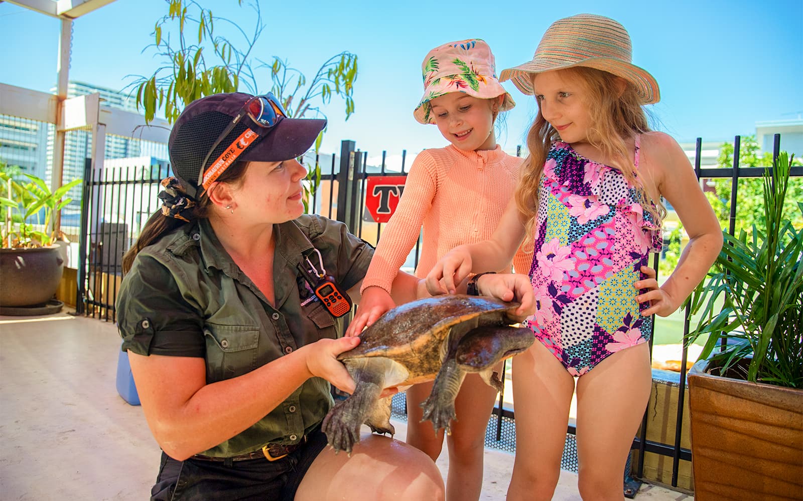 Crocosaurus Cove Tickets with Cage of Death Experience in Darwin - Highlights | TickYourList