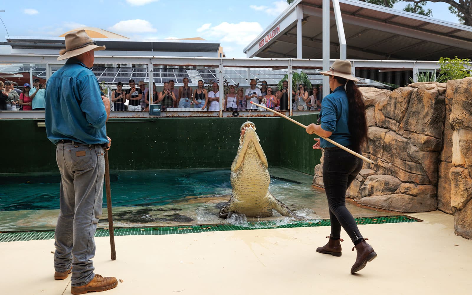 Combo: Crocosaurus Cove + Royal Flying Doctor Service Tickets in Darwin - Attractions | TickYourList