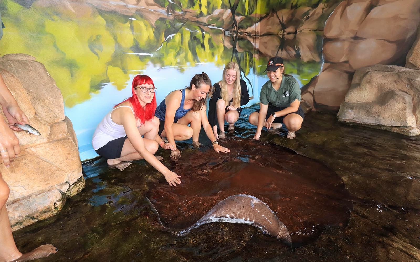 Crocosaurus Cove Tickets with Whipray Encounter