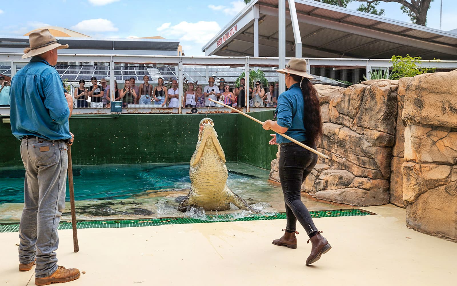 Crocosaurus Cove Tickets with Whipray Encounter in Darwin - Highlights | TickYourList