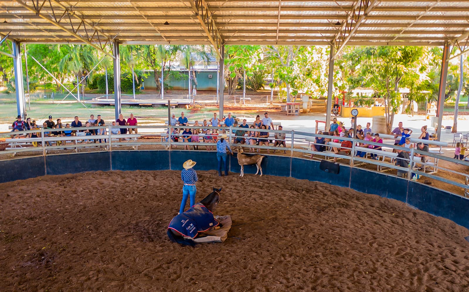 Katherine Outback Experience - 2 Hour Show tickets in Darwin - Attractions | TickYourList