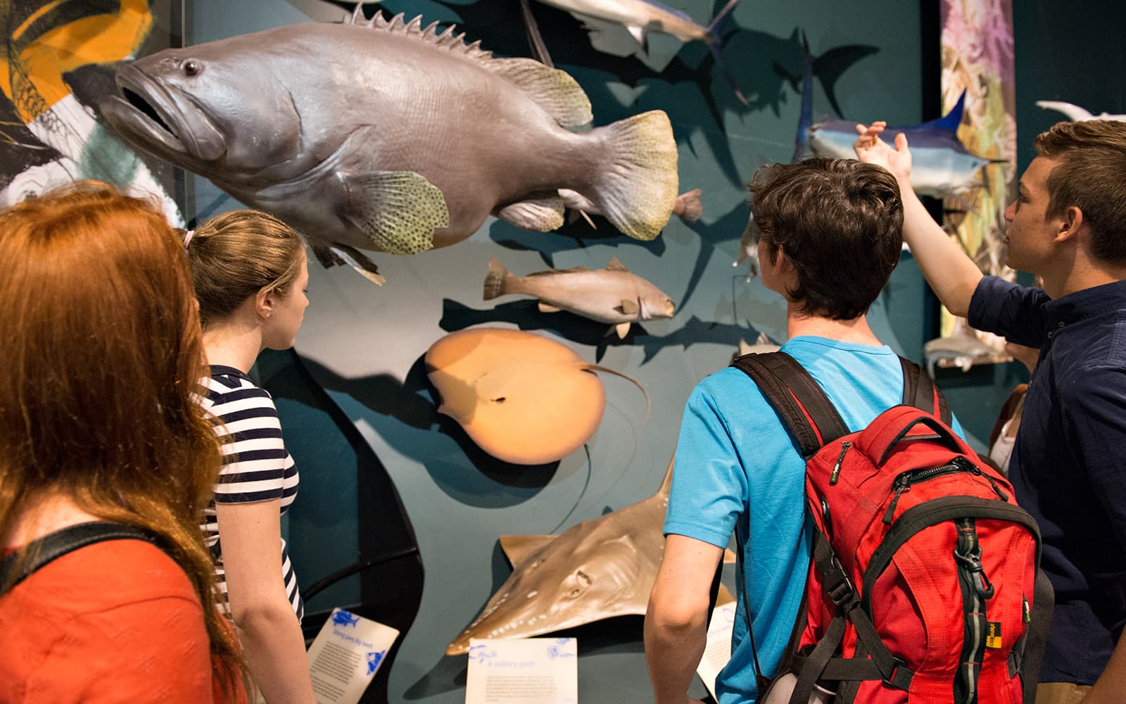 Guided Half-Day City Tour of Darwin tickets in Darwin - Features | TickYourList