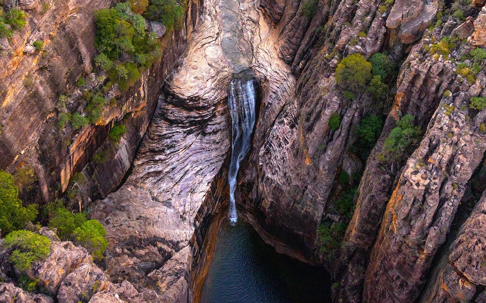Guided Day Tour of Kakadu National Park with Yellow Water Billabong Cruise tickets in Darwin - Features | TickYourList