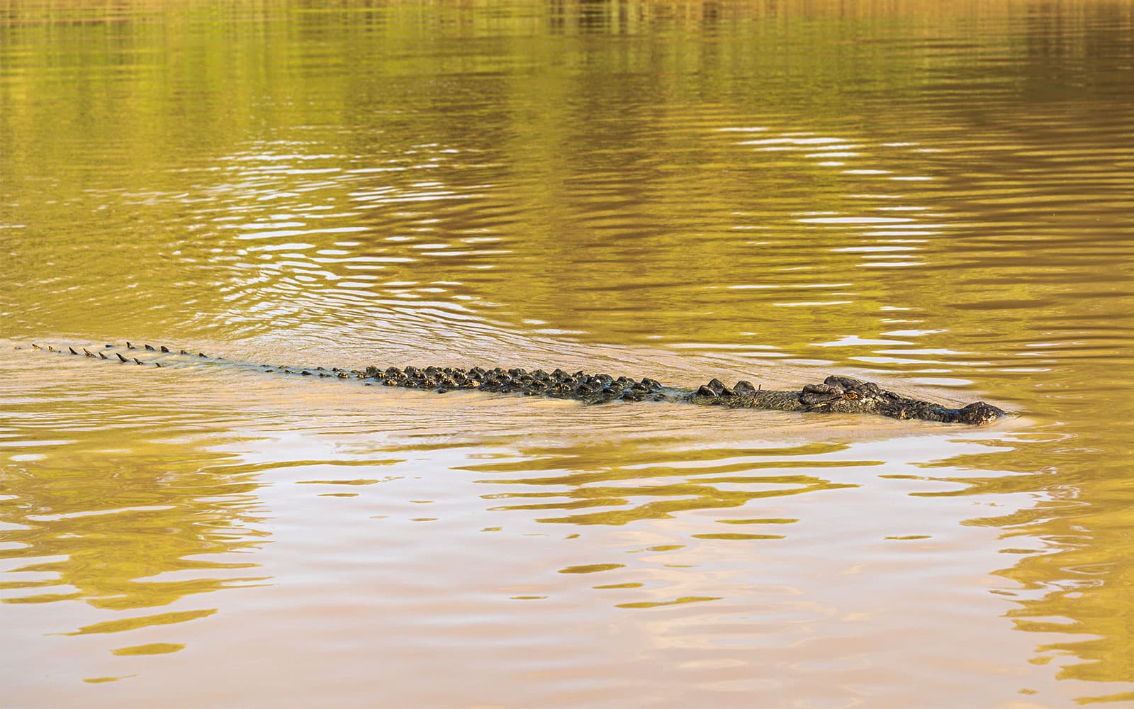 From Darwin: Kakadu Wilderness Full-Day Guided Tour tickets in Darwin - Highlights | TickYourList