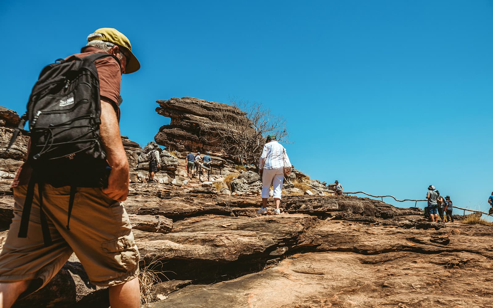 From Darwin: Kakadu Day Tour with Cultural Cruise