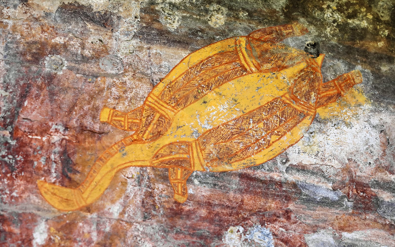 From Darwin: Kakadu Day Tour with Cultural Cruise tickets in Darwin - Activities | TickYourList