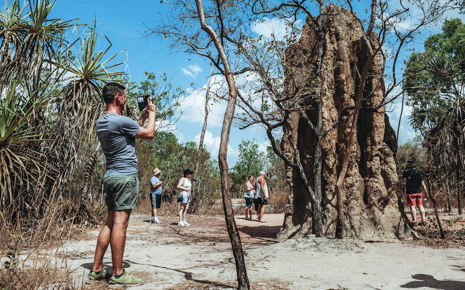 Litchfield Guided Day Tour with Crocodile Cruise, Lunch, & Hotel Transfers tickets in Darwin - Attractions | TickYourList