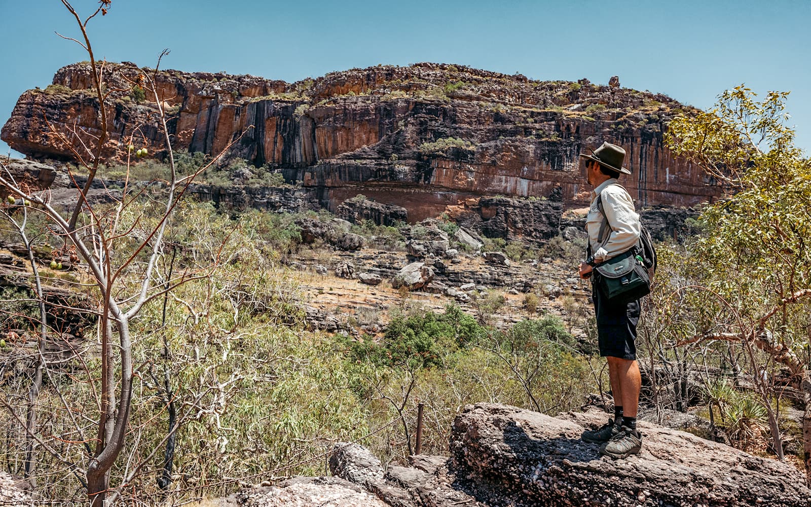 From Darwin: Top End Highlights Guided Tour tickets in Darwin - Activities | TickYourList