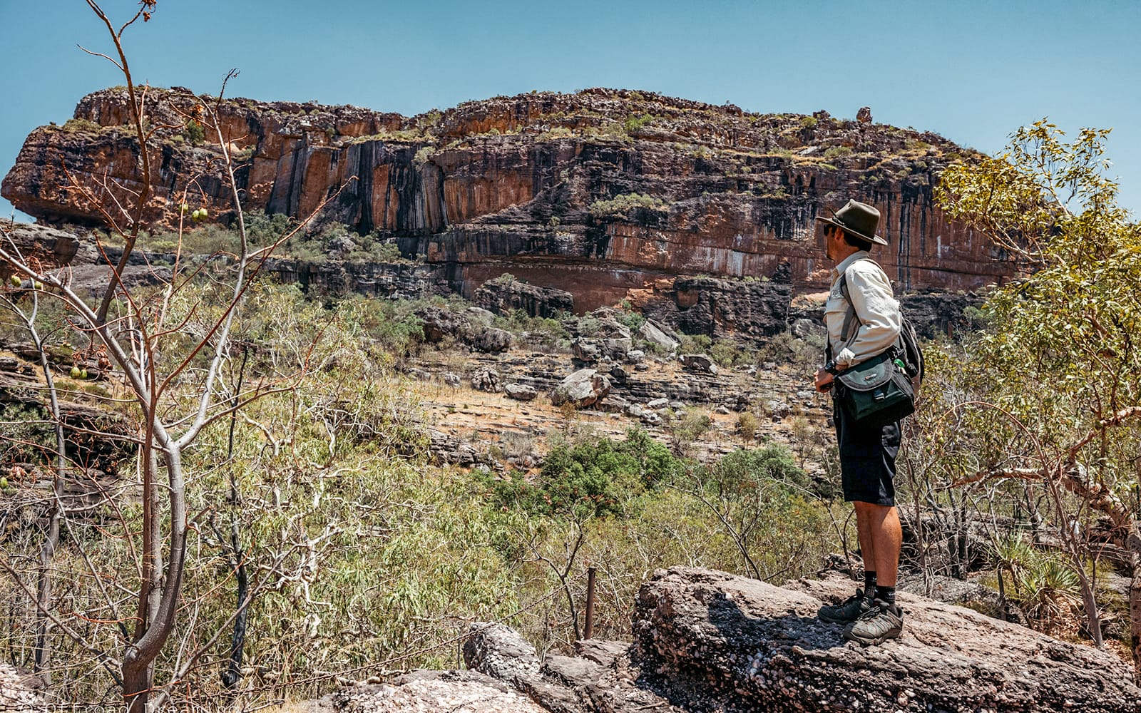 From Darwin: Top End Highlights Guided Tour tickets in Darwin - Activities | TickYourList