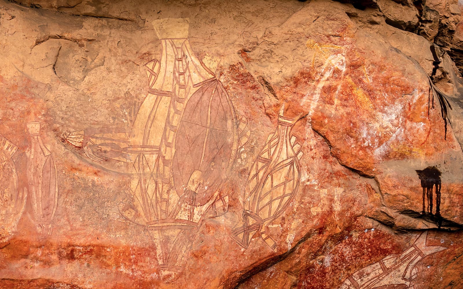 From Darwin: Top End Highlights Guided Tour tickets in Darwin - Highlights | TickYourList