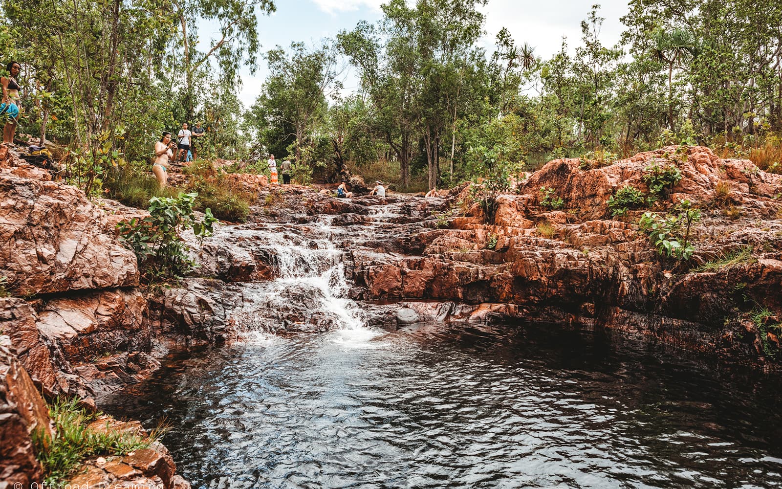 From Darwin: Top End Highlights Guided Tour tickets in Darwin - Features | TickYourList