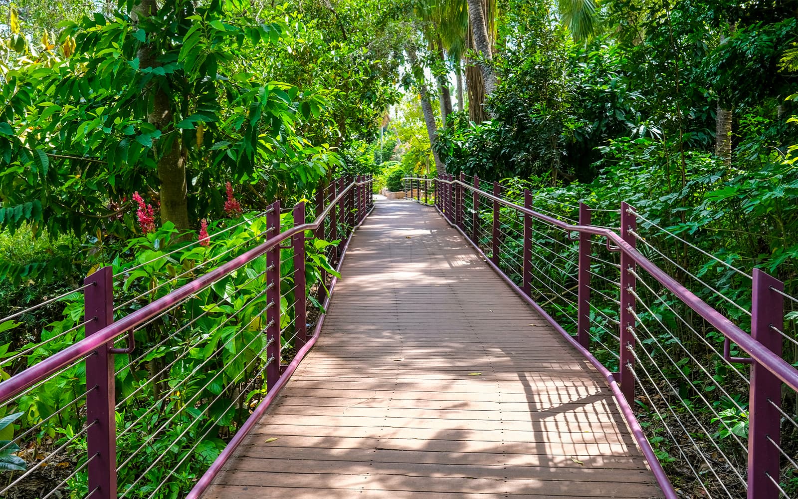 Combo: Darwin Hop-On Hop-Off Bus Tour + Royal Flying Doctor Service + Crocosaurus Cove Tickets in Darwin - Activities | TickYourList