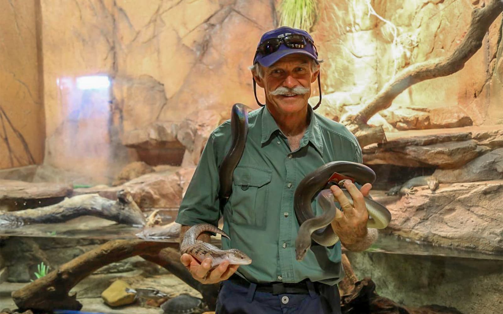 Family Saver Pack: Crocosaurus Cove Tickets in Darwin - Highlights | TickYourList