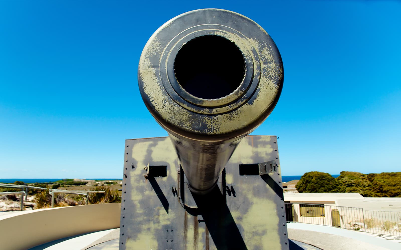 From Fremantle: Rottnest Island Grand Tour with Ferry & Lunch tickets in Perth - Attractions | TickYourList