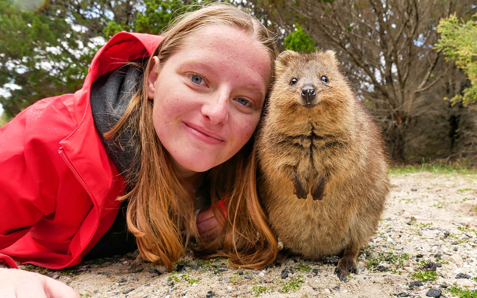 From Perth/Fremantle: Rottnest Island Segway Tour with Return Ferry tickets in Perth - Activities | TickYourList