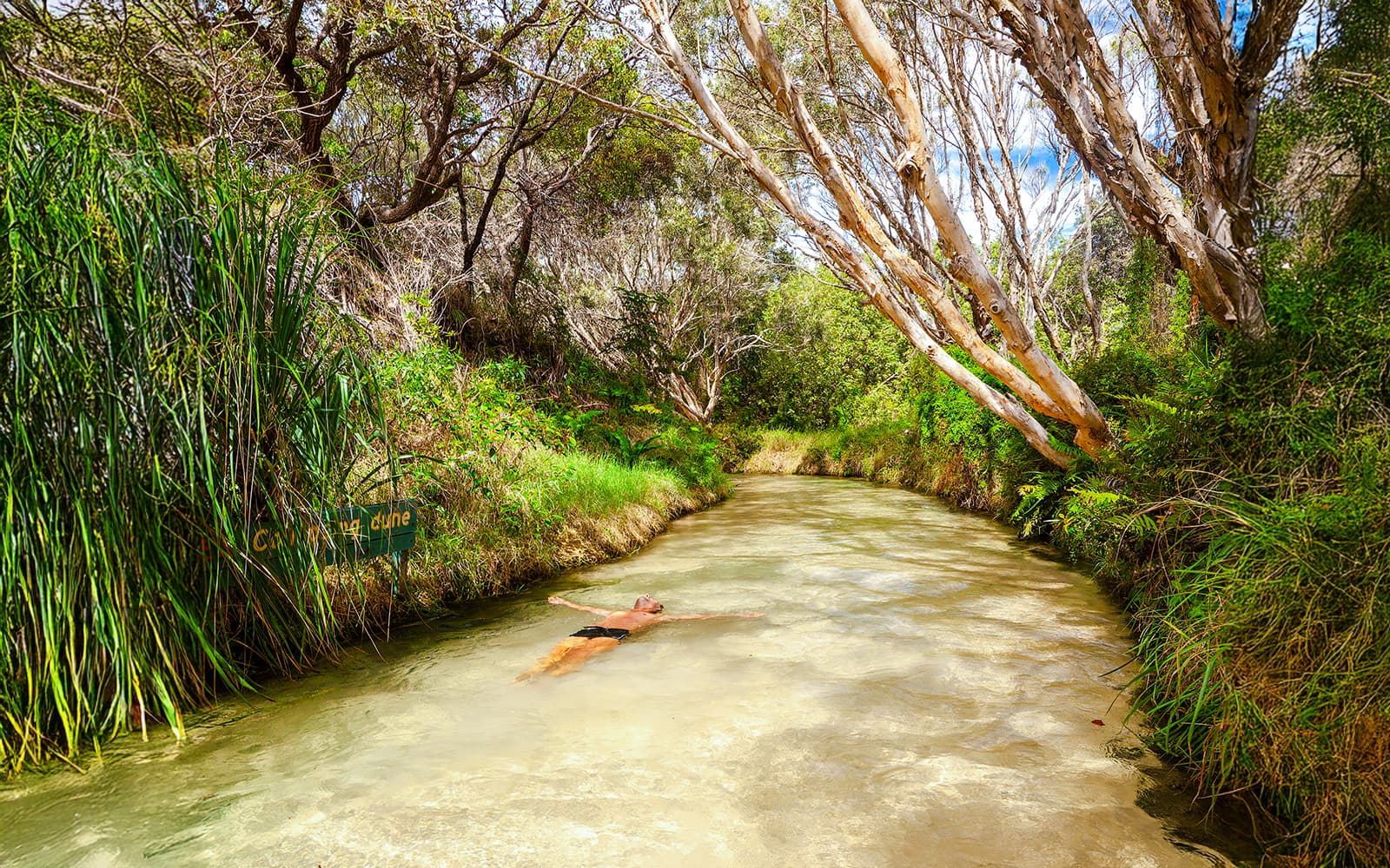 From Rainbow Beach: K'gari (Fraser Island) 1-Day Classic Tour tickets in Brisbane - Activities | TickYourList