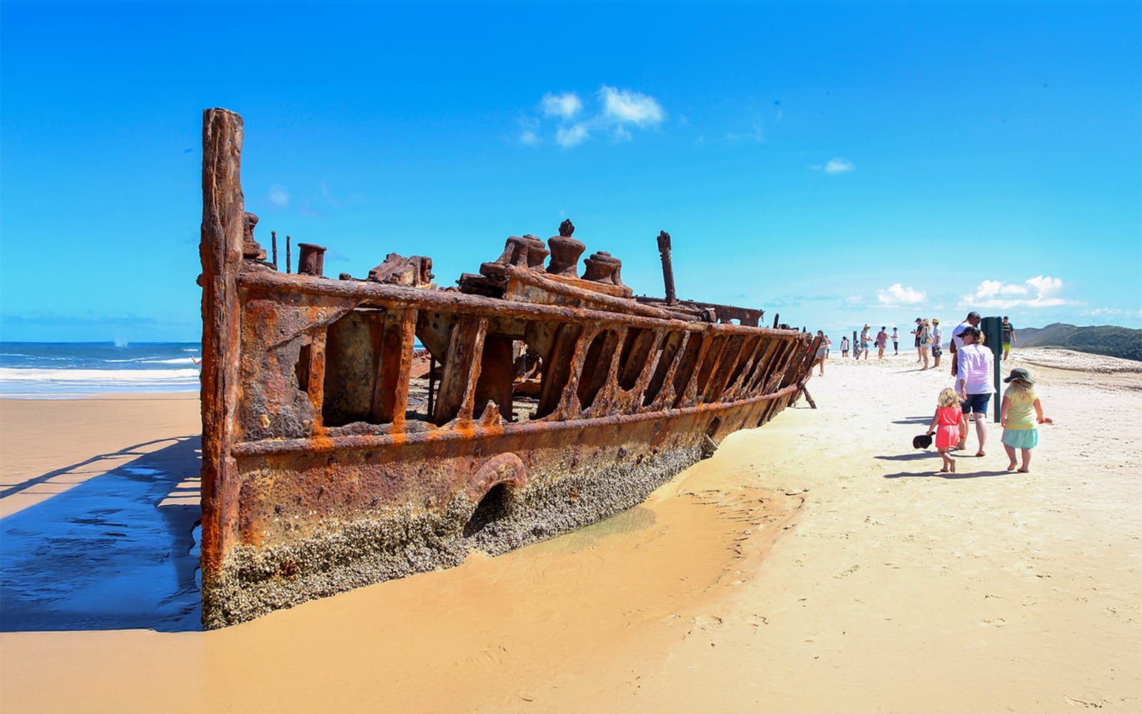 From Rainbow Beach: K'gari (Fraser Island) 3-Day Self-Drive 4WD Tour tickets in Brisbane - Activities | TickYourList