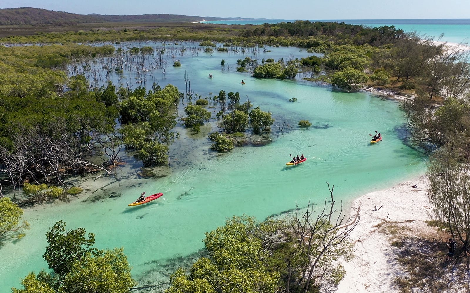 From Hervey Bay: Remote K'Gari (Fraser Island) Boat Tour with Lunch tickets in Brisbane - Attractions | TickYourList